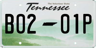 TN license plate B0201P