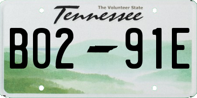 TN license plate B0291E
