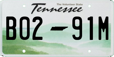 TN license plate B0291M