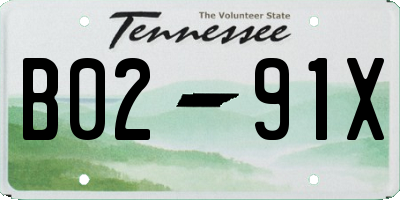 TN license plate B0291X