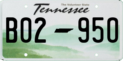 TN license plate B0295O