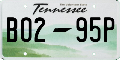 TN license plate B0295P