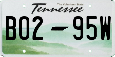TN license plate B0295W