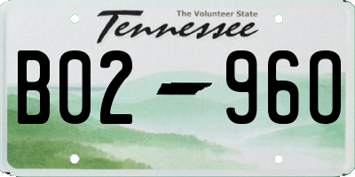 TN license plate B0296O