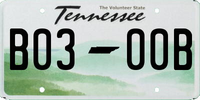 TN license plate B0300B