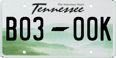 TN license plate B0300K