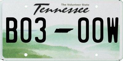 TN license plate B0300W