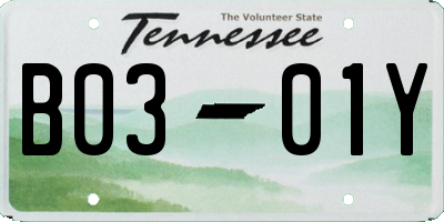TN license plate B0301Y