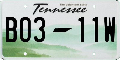TN license plate B0311W