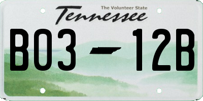 TN license plate B0312B