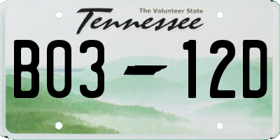 TN license plate B0312D