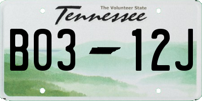 TN license plate B0312J