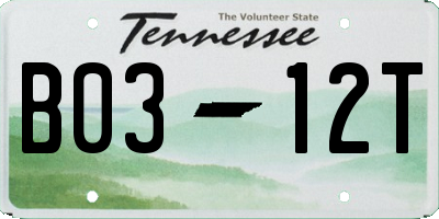 TN license plate B0312T