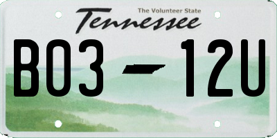 TN license plate B0312U