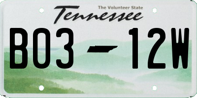 TN license plate B0312W