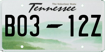 TN license plate B0312Z