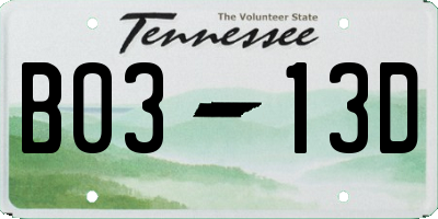 TN license plate B0313D