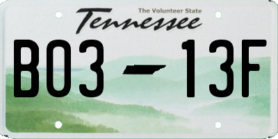 TN license plate B0313F