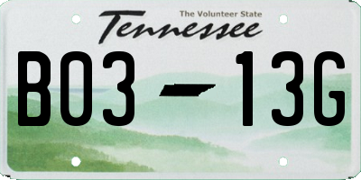 TN license plate B0313G
