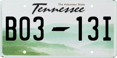 TN license plate B0313I