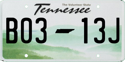 TN license plate B0313J