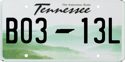 TN license plate B0313L