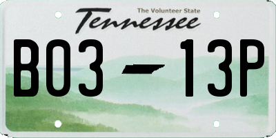 TN license plate B0313P