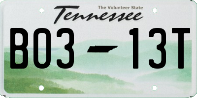 TN license plate B0313T