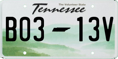 TN license plate B0313V