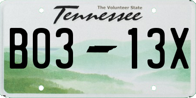 TN license plate B0313X