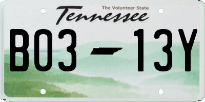 TN license plate B0313Y