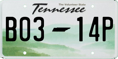 TN license plate B0314P