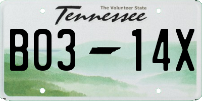 TN license plate B0314X