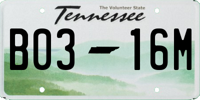 TN license plate B0316M