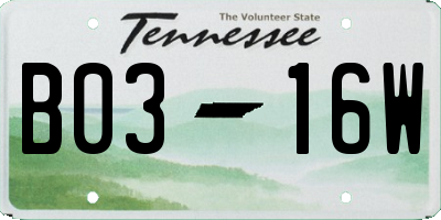 TN license plate B0316W
