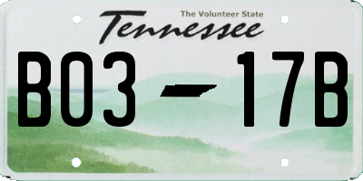 TN license plate B0317B