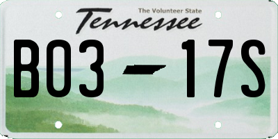 TN license plate B0317S