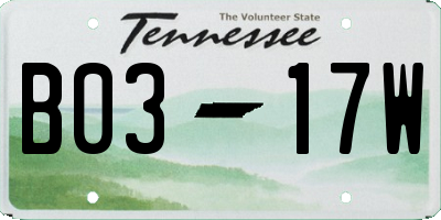 TN license plate B0317W