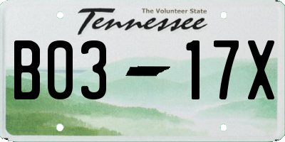TN license plate B0317X