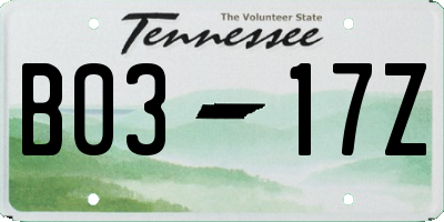 TN license plate B0317Z