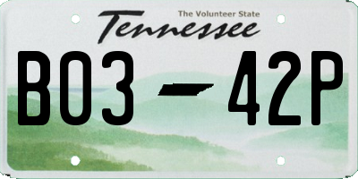 TN license plate B0342P
