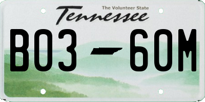 TN license plate B0360M