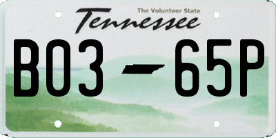 TN license plate B0365P