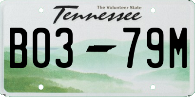 TN license plate B0379M