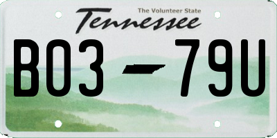 TN license plate B0379U