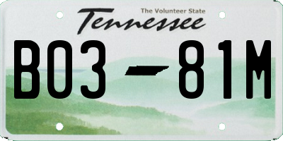 TN license plate B0381M