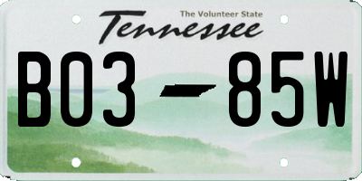 TN license plate B0385W