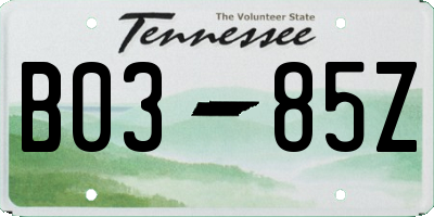 TN license plate B0385Z