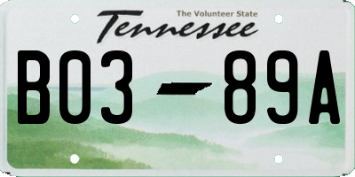 TN license plate B0389A
