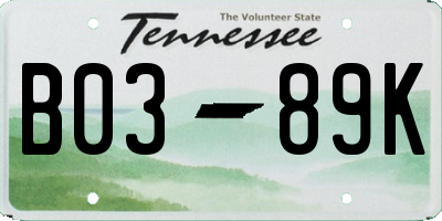 TN license plate B0389K